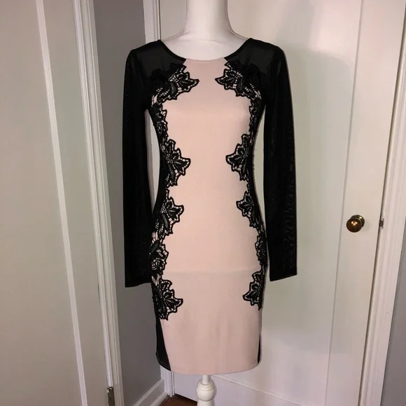 chinese dress ladies Rosetta Mini Dress ~ Pink Lovely Lace – Show Me Your Mumu main image 0